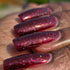 Cameo Colours Lacquers | Blood Curdling Scream