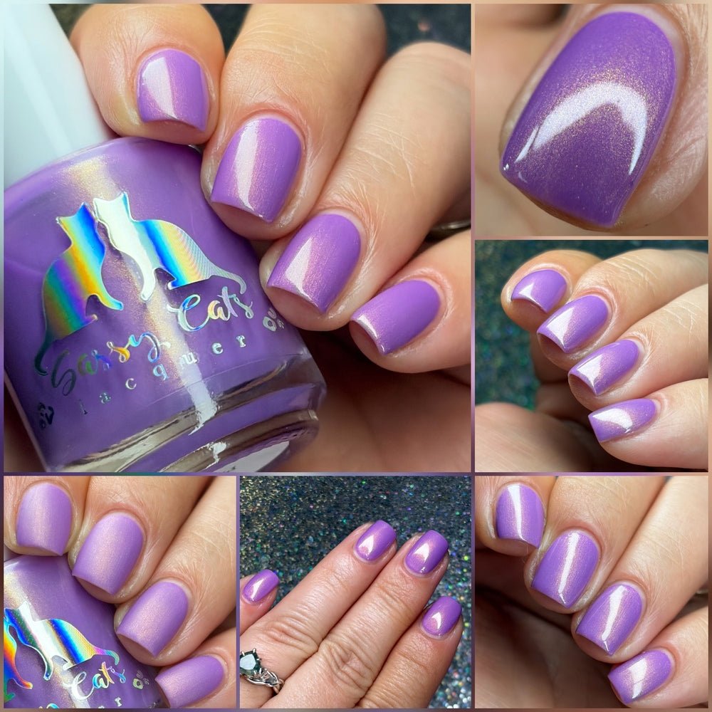 Sassy Cats Lacquer | Did I do that?