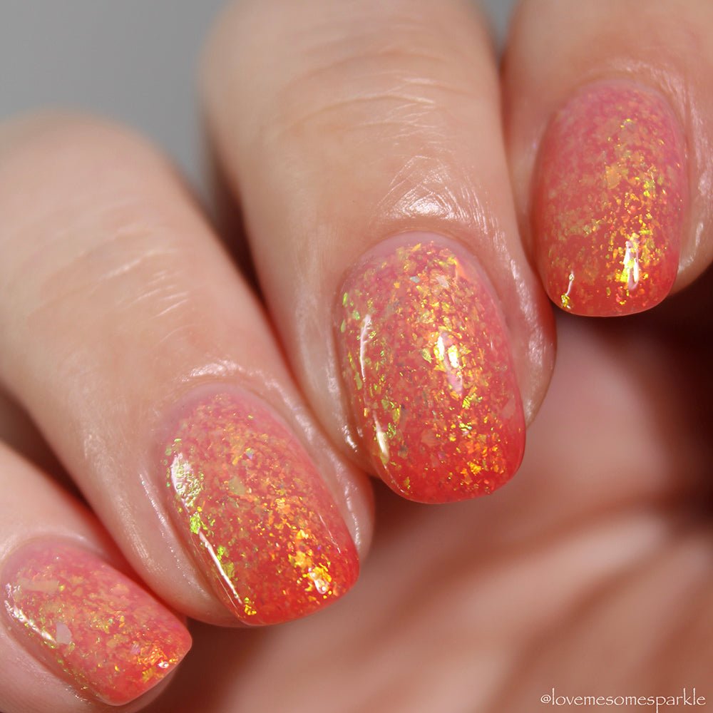 Emily de Molly | Siamese Dream