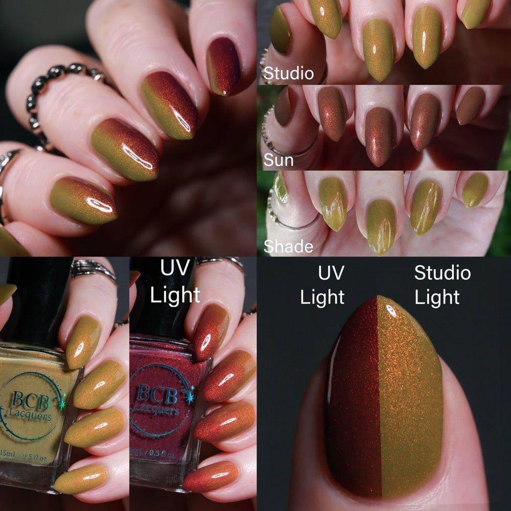 BCB Lacquers | The Jackal