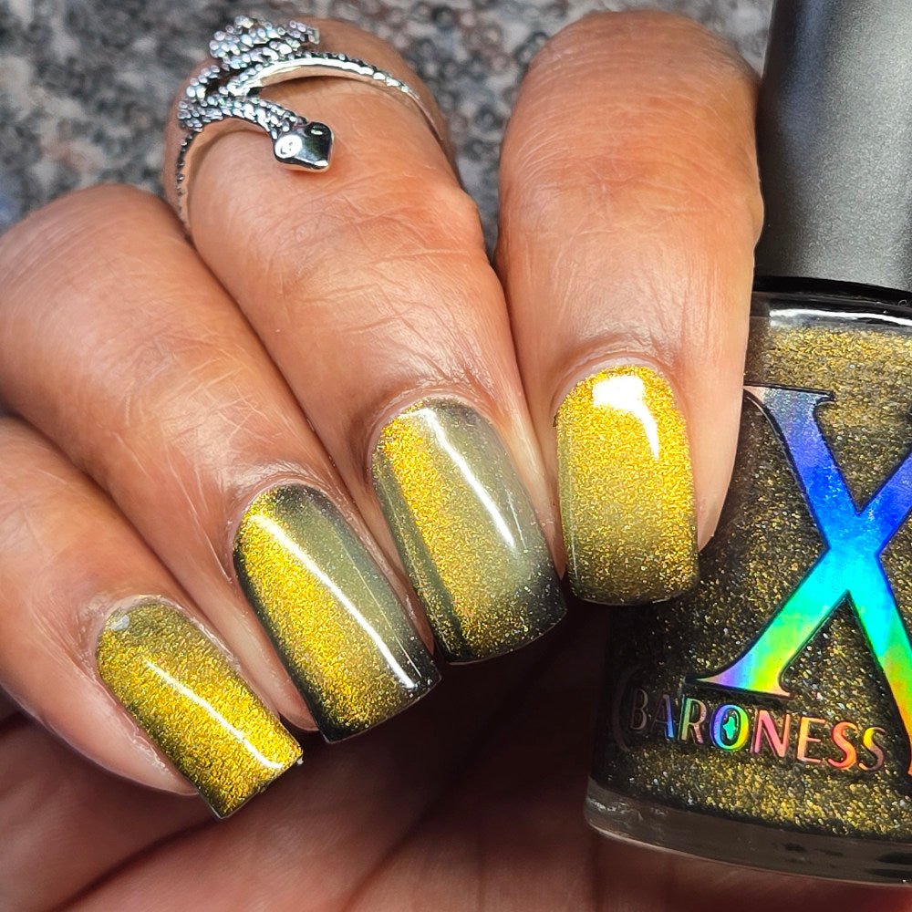 Baroness X | Computerworld