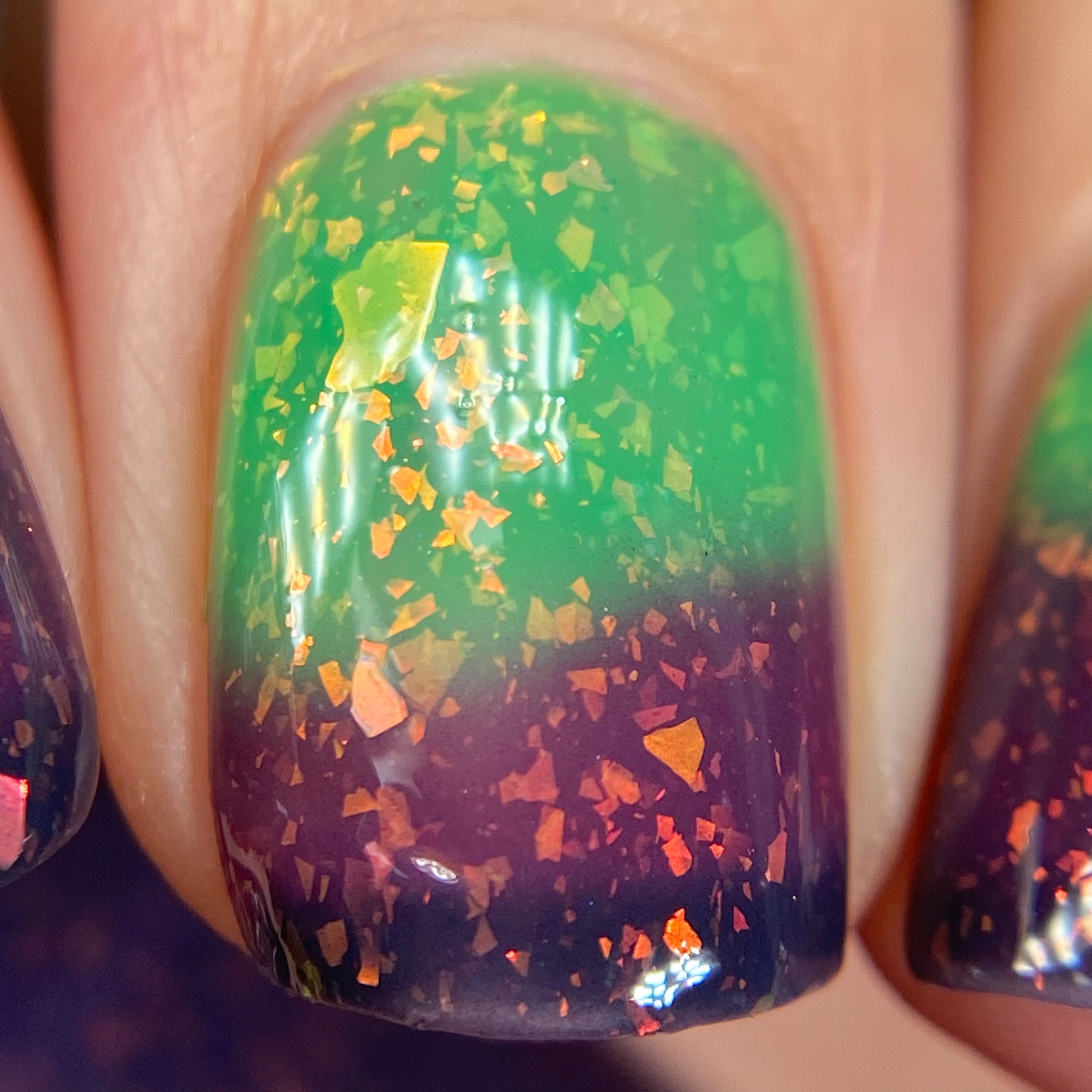 Dreamland Lacquer | Midnight Margaritas