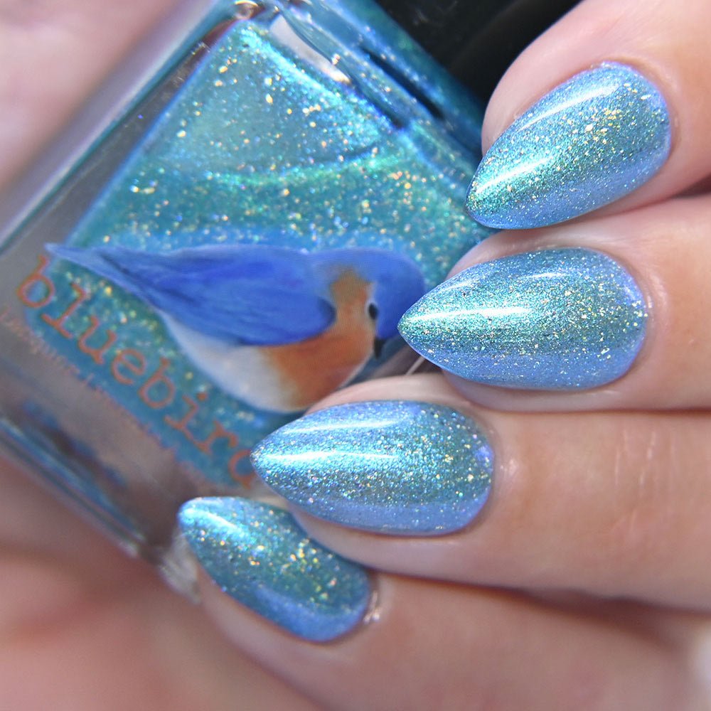 Bluebird | The Winter of My Discontent