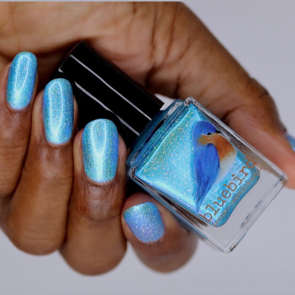 Bluebird | The Winter of My Discontent