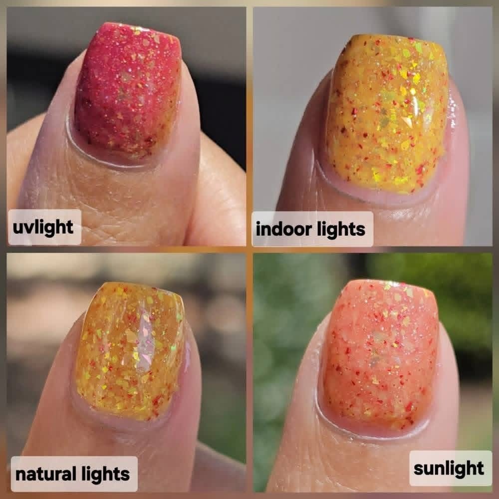 Paradox Polish | Autumn Frogs