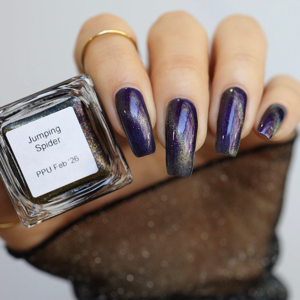 Cracked Polish | Jumping Spider