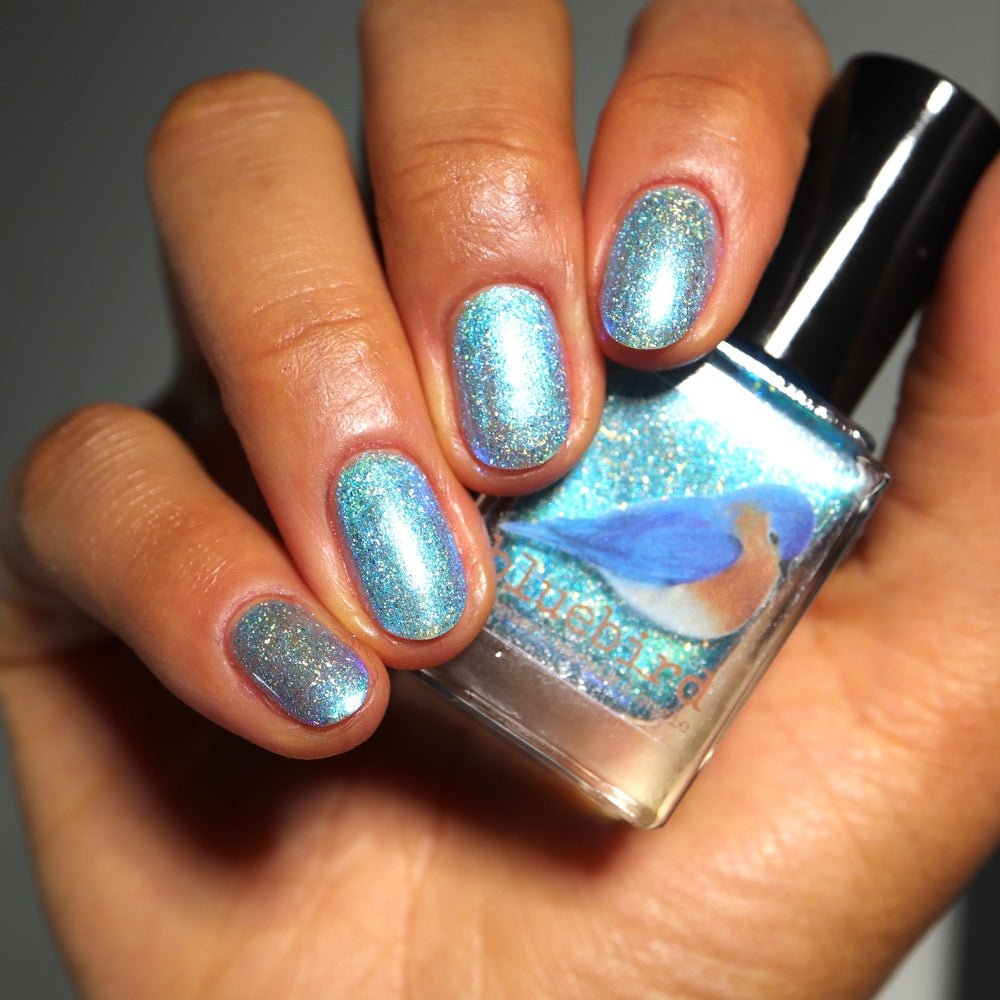 Bluebird | The Winter of My Discontent