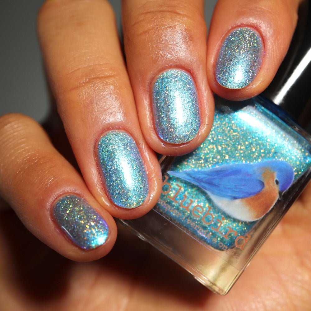 Bluebird | The Winter of My Discontent