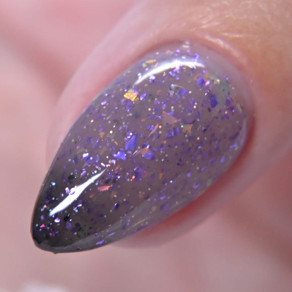 Paradox Polish | Duck Til Dawn