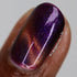 Paradox Polish | Zoetrope