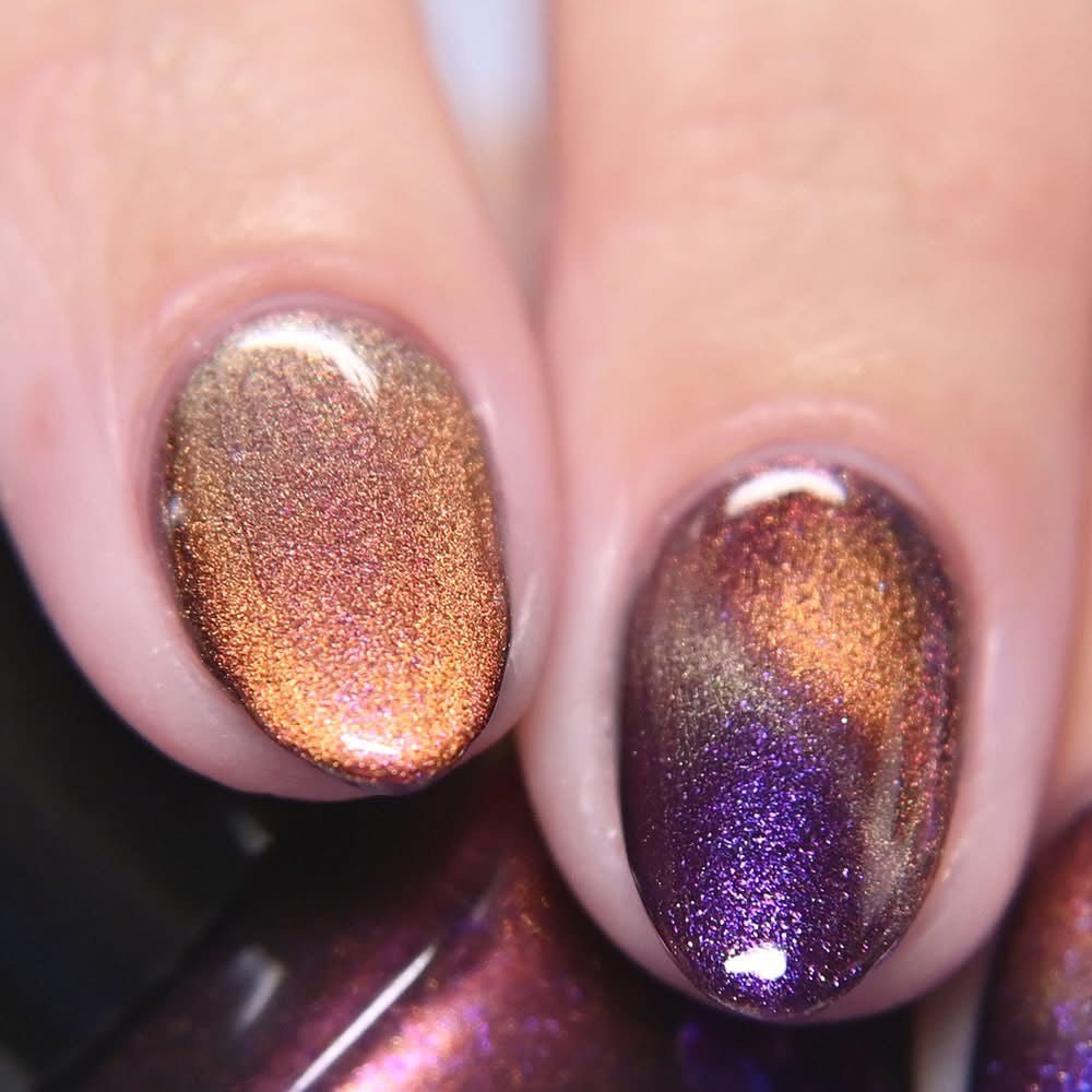 Paradox Polish | Zoetrope
