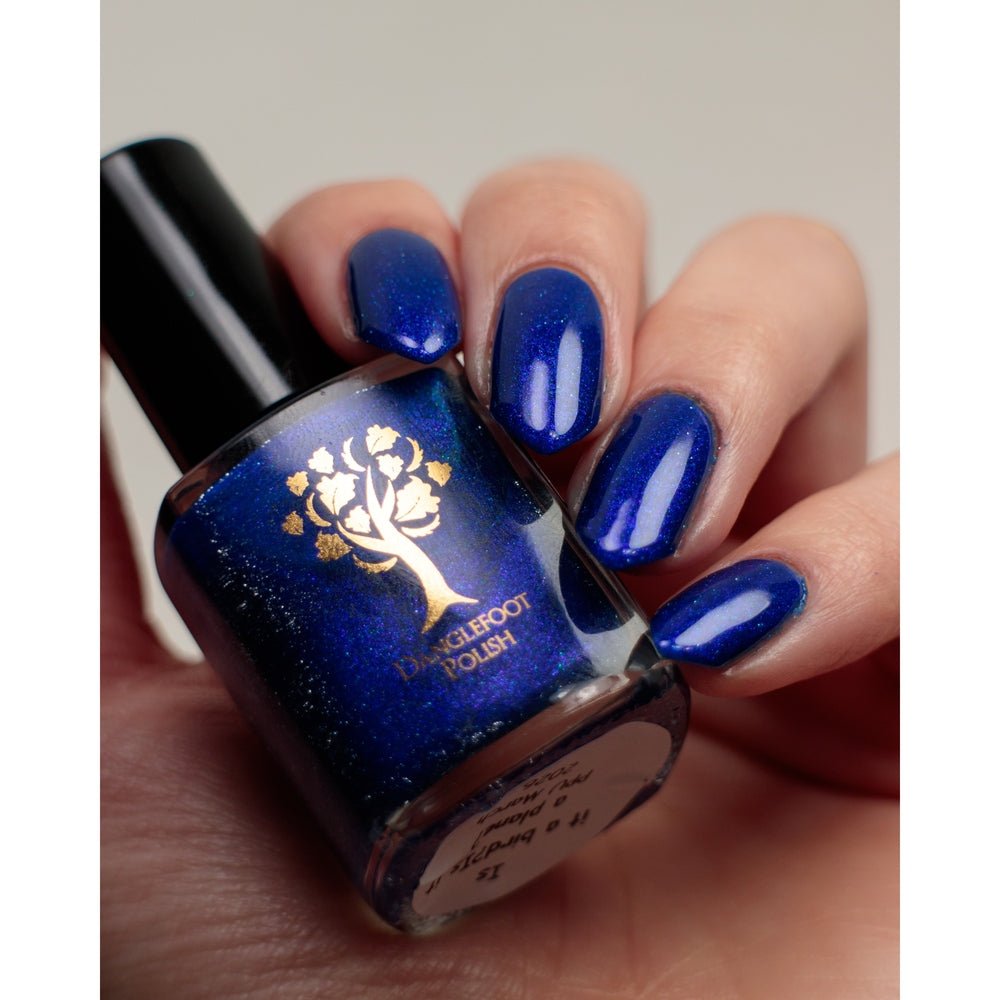 Danglefoot Nail Polish | Is it a bird? Is it a plane?