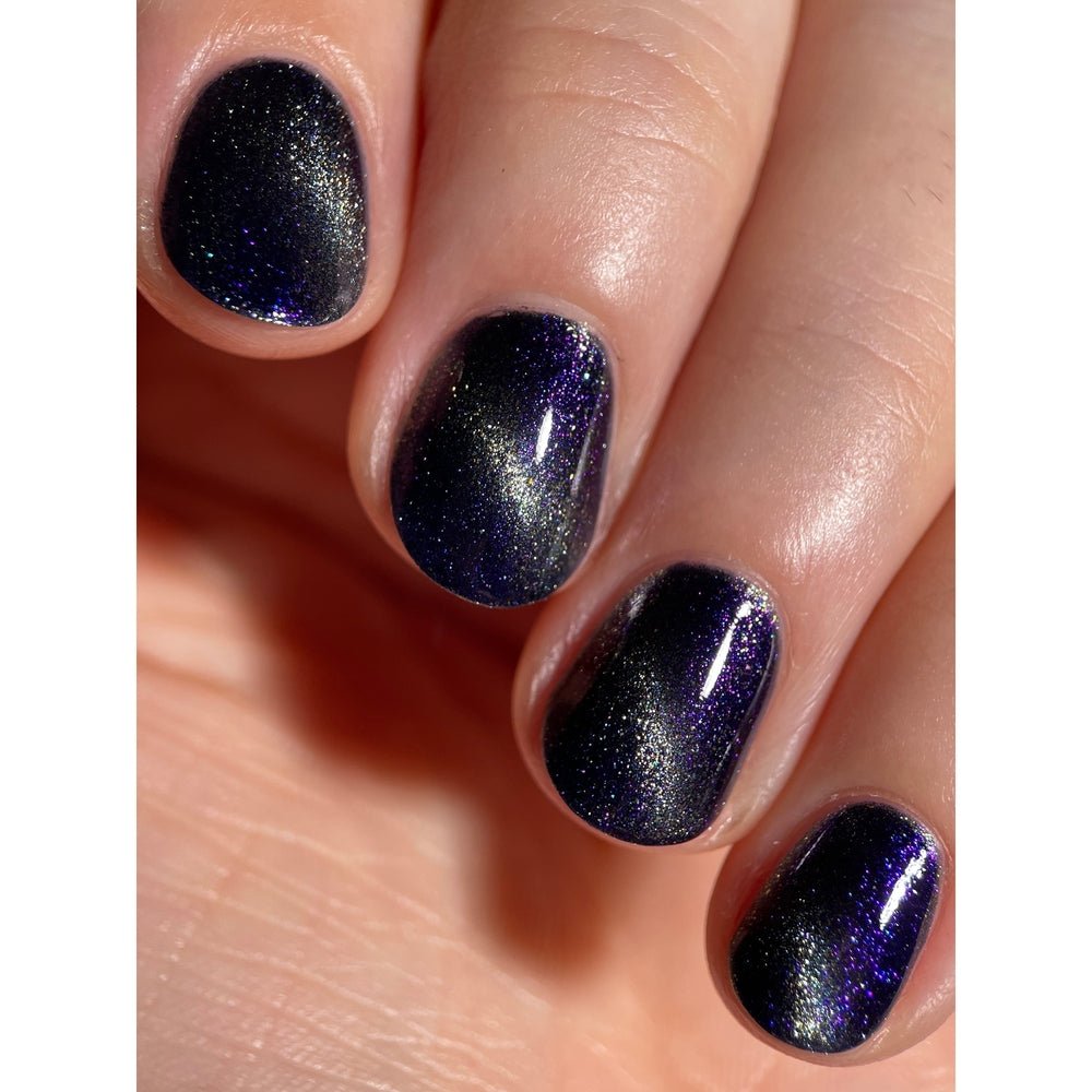 Cracked Polish | Jumping Spider