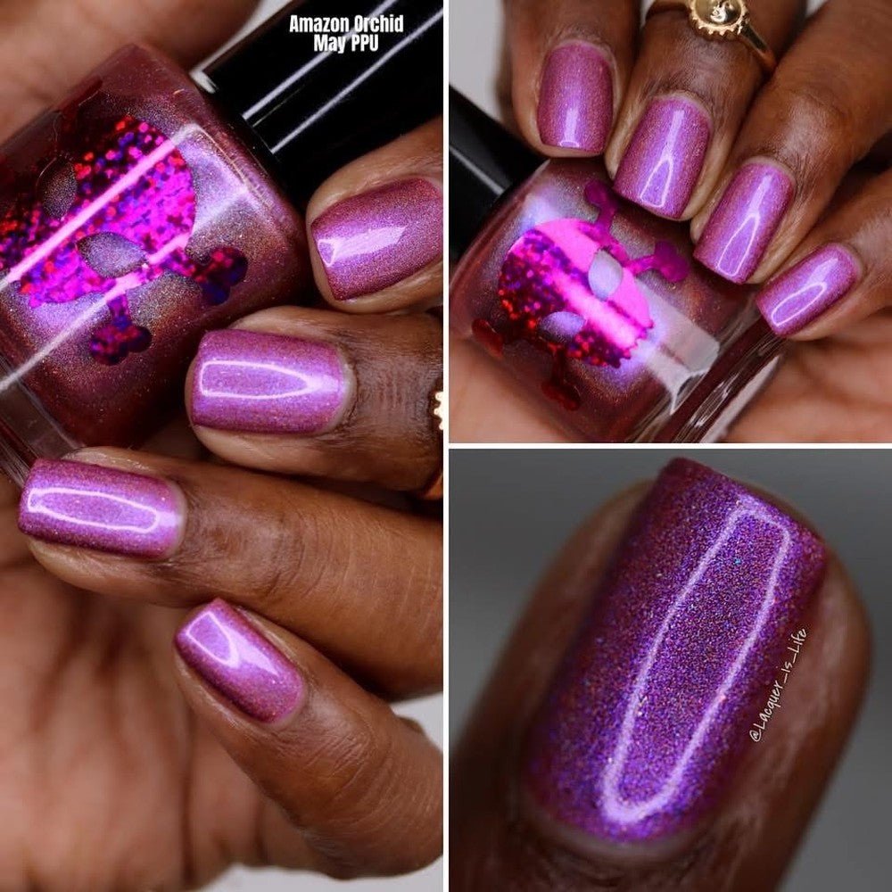 Paradox Polish | Amazon Orchid