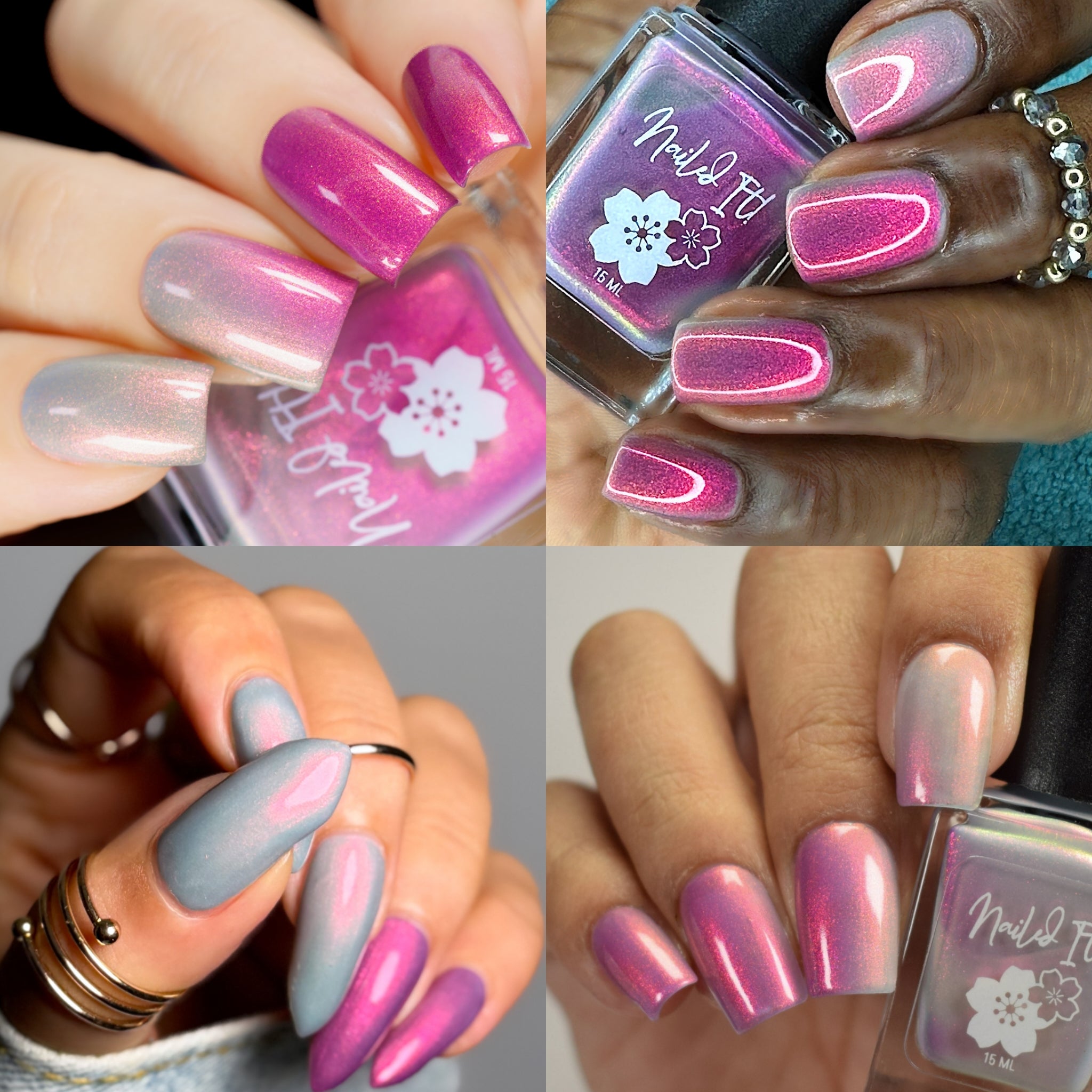 Nailed It | Midnight Meow