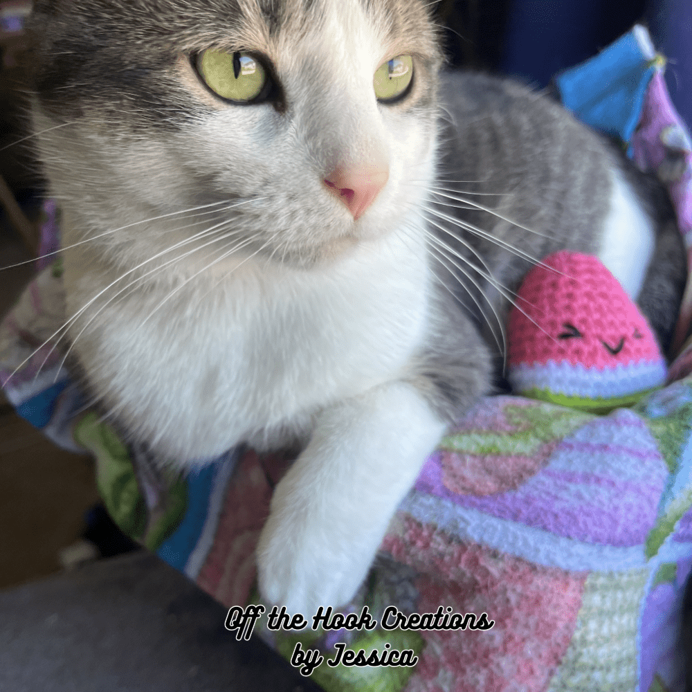 Off the Hook Creations by Jessica | Crochet Watermelon Toy