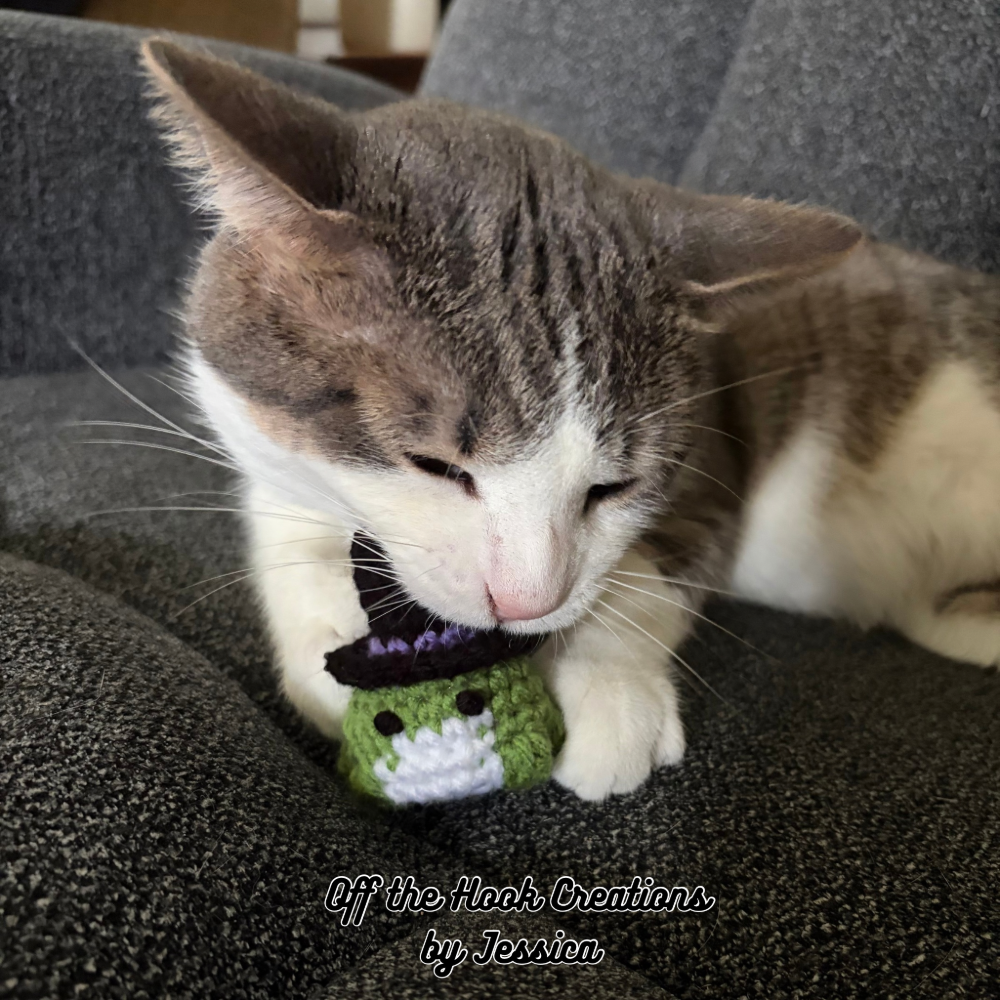 Off the Hook Creations by Jessica | Crochet Witchy Frog