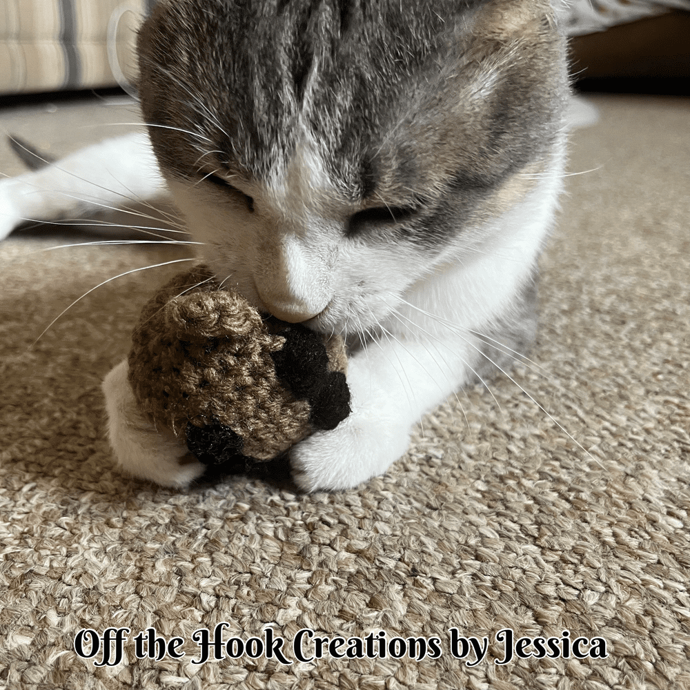 Off the Hook Creations by Jessica | Crochet Groundhog Toy