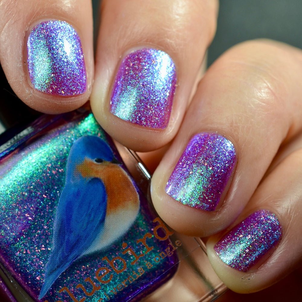 Bluebird | Hitchhikers Guide to the Ghoulaxy