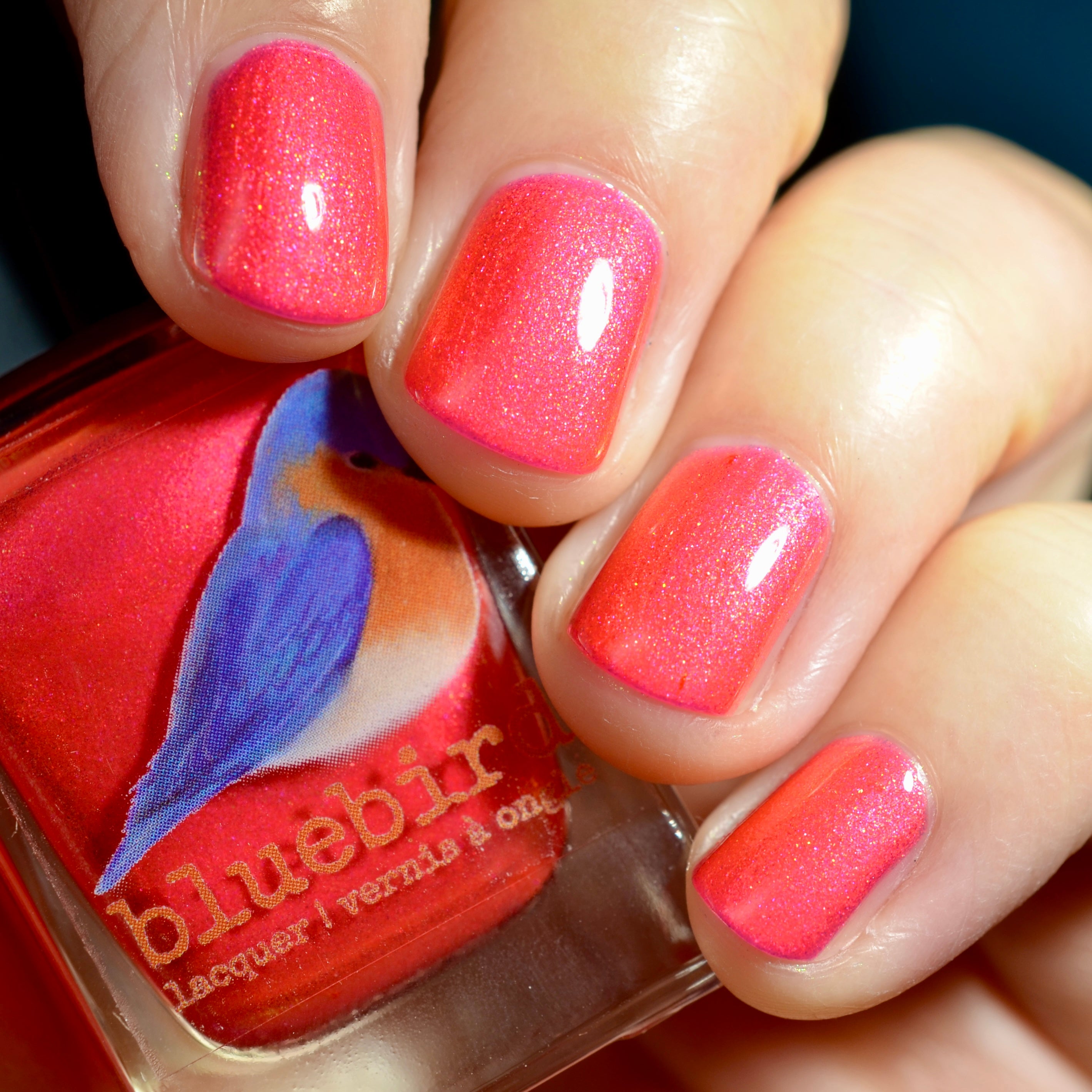 Bluebird | Fawn Memories