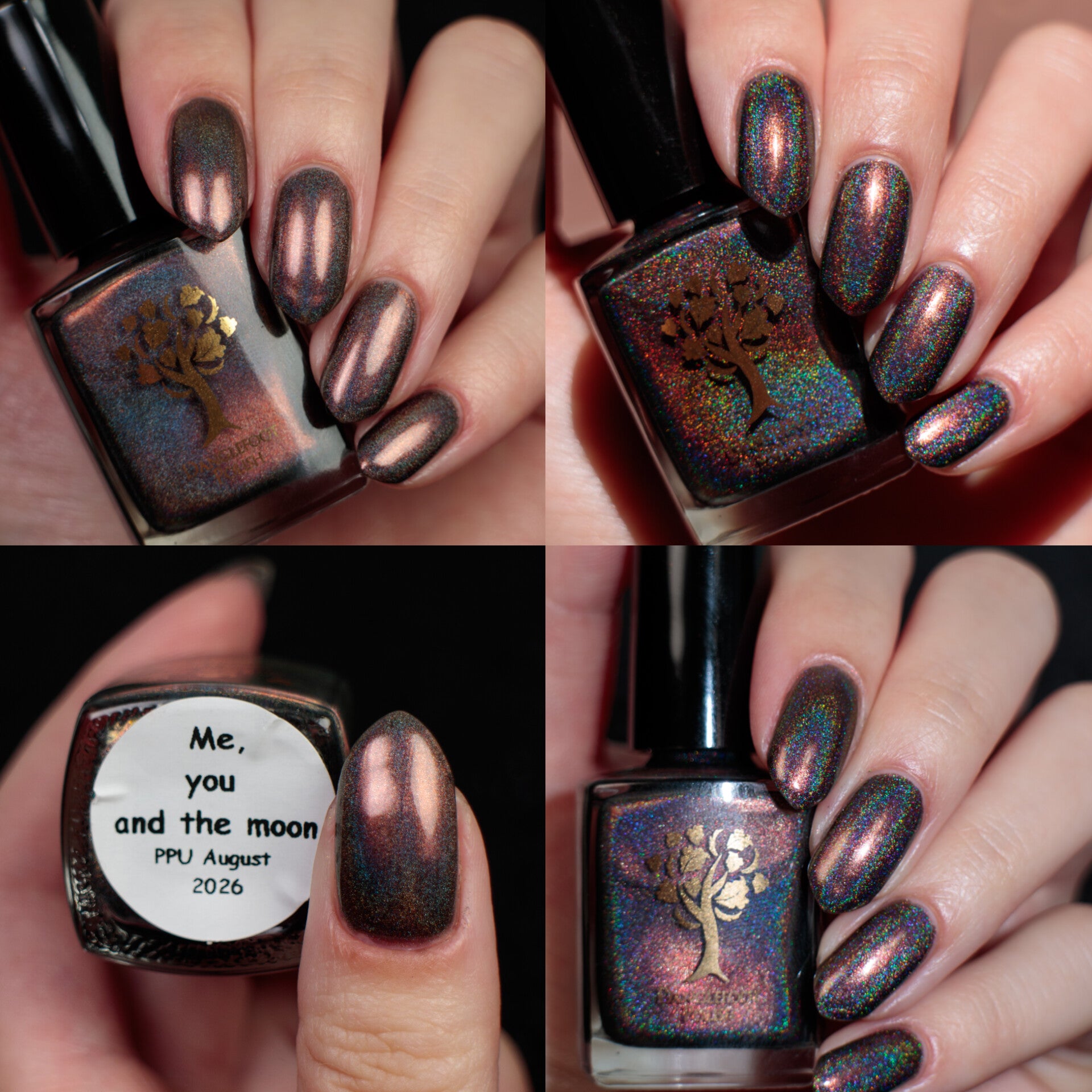 Danglefoot Nail Polish | You, me and the moon