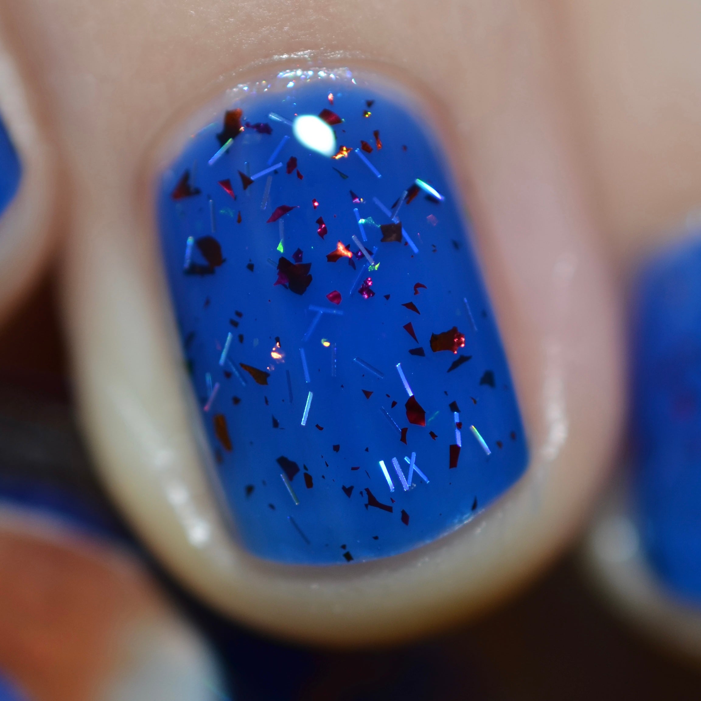 Bluebird | This May Sting A Little