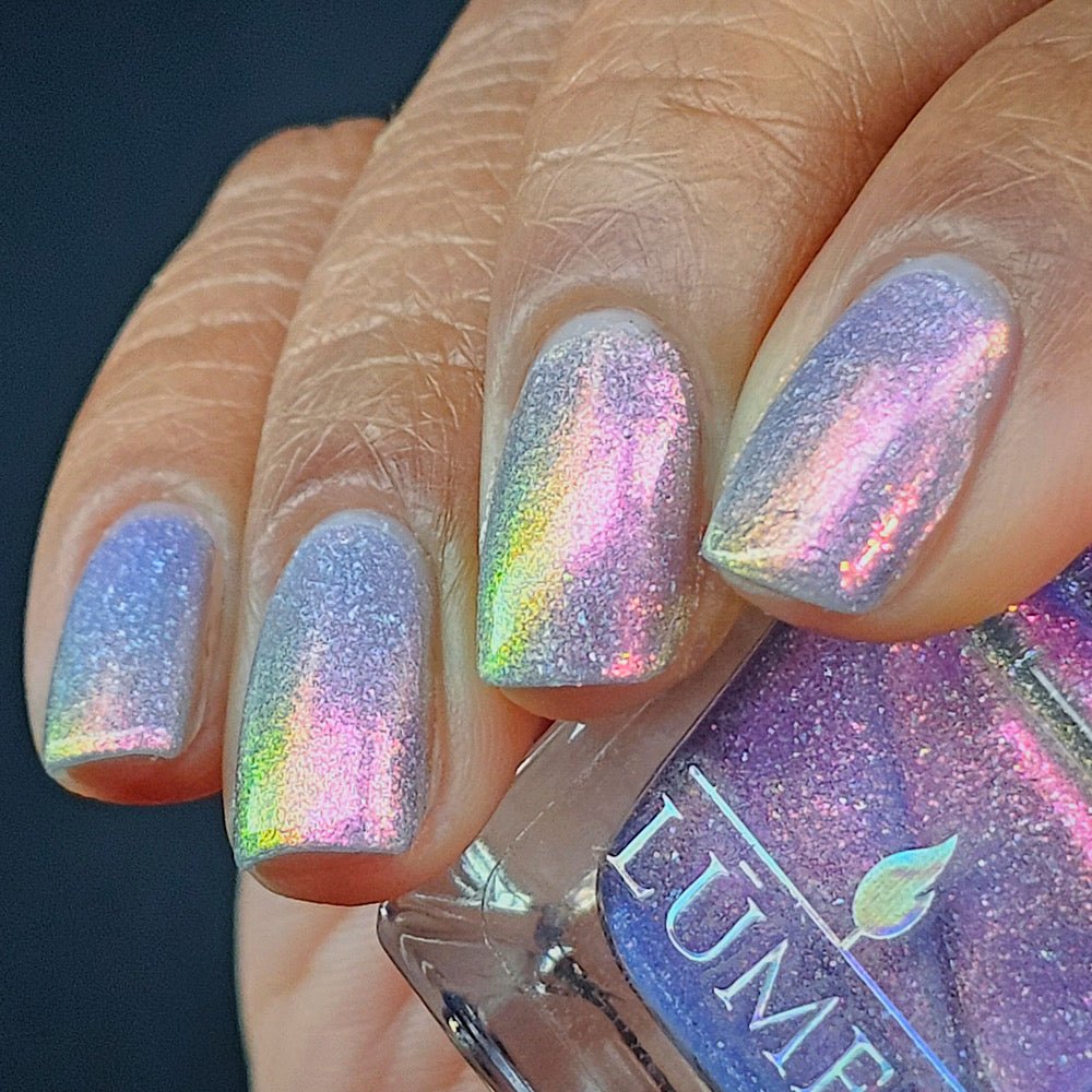 Lumen | S.T.E.V.E.
