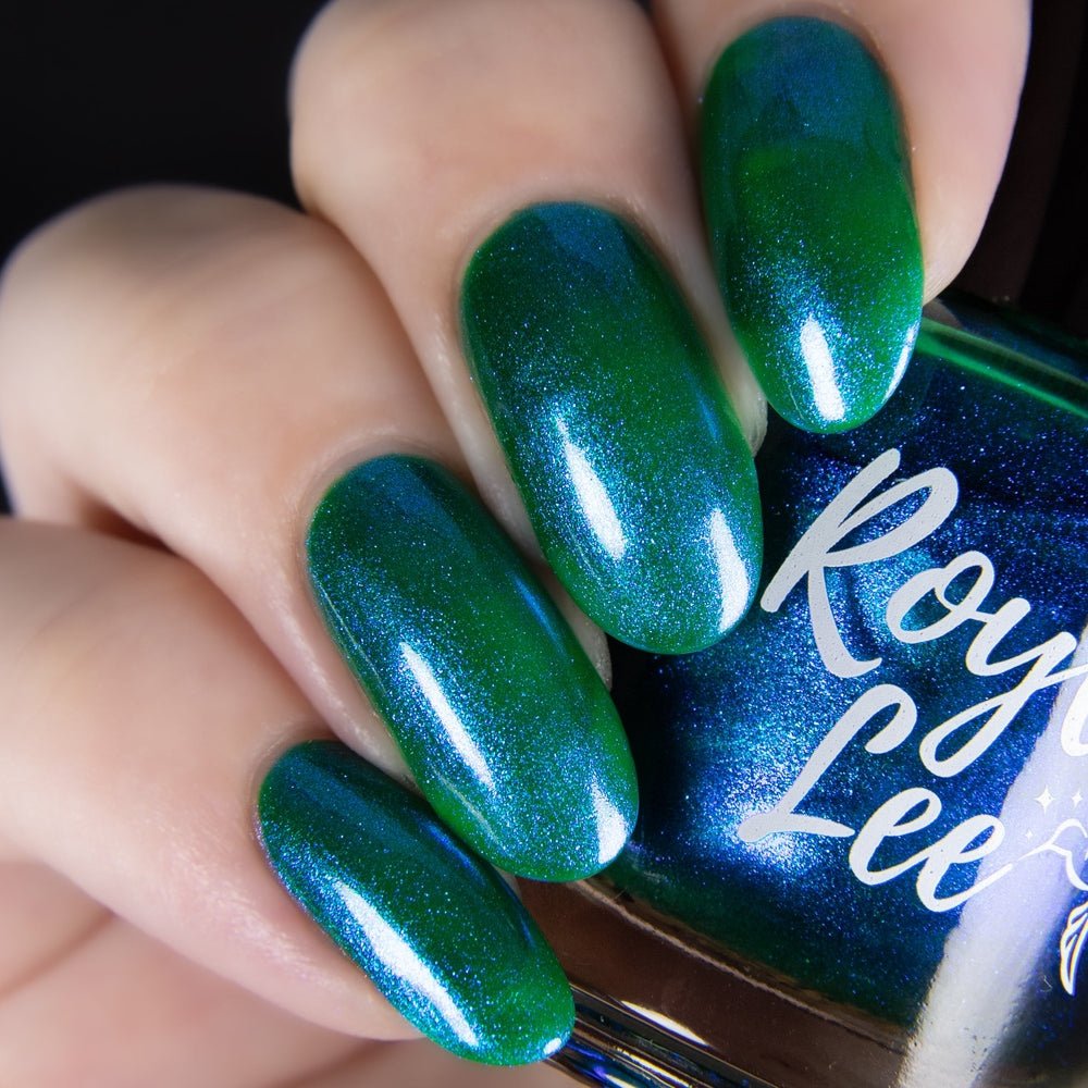 Royla Lee | OMW To Curse Your Ass