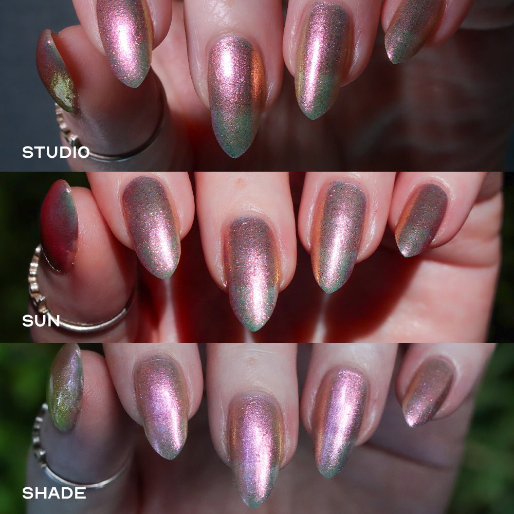Prism Parade | Shrimp Shack Shooter