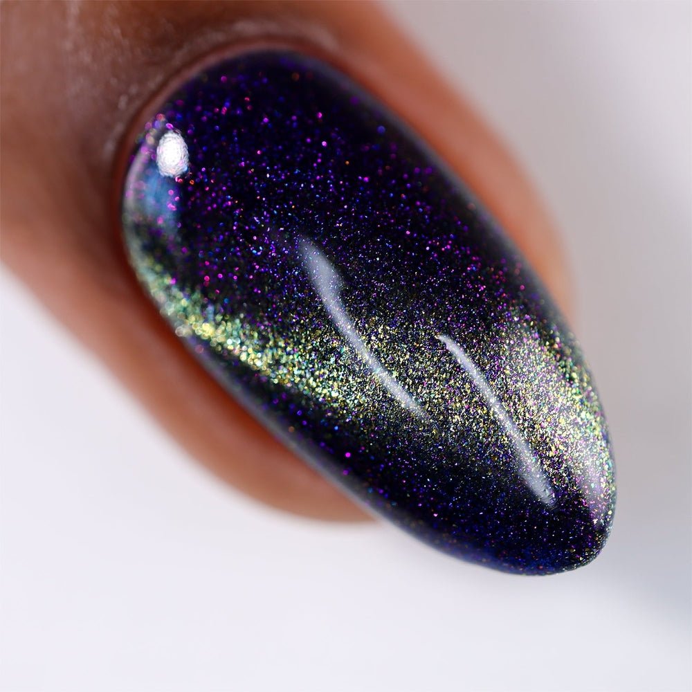 Cracked Polish | Jumping Spider