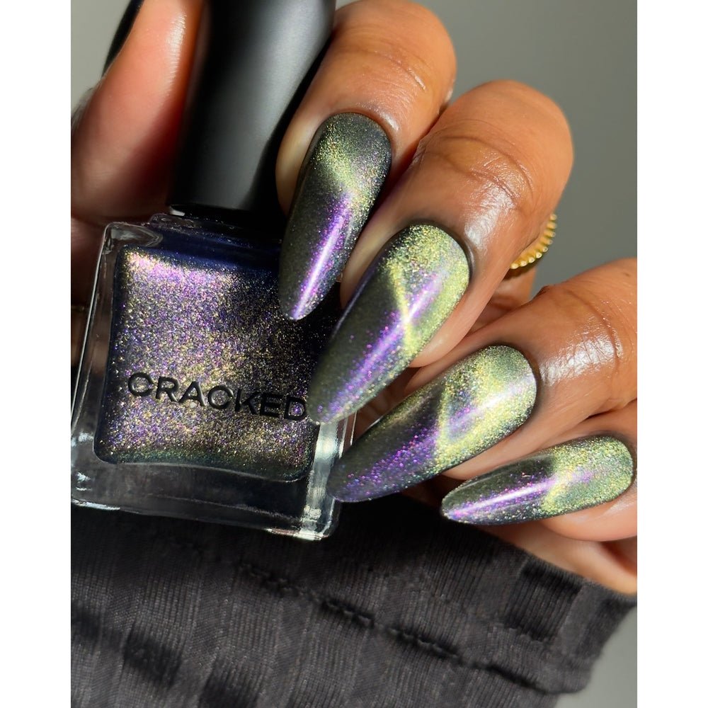 Cracked Polish | Jumping Spider