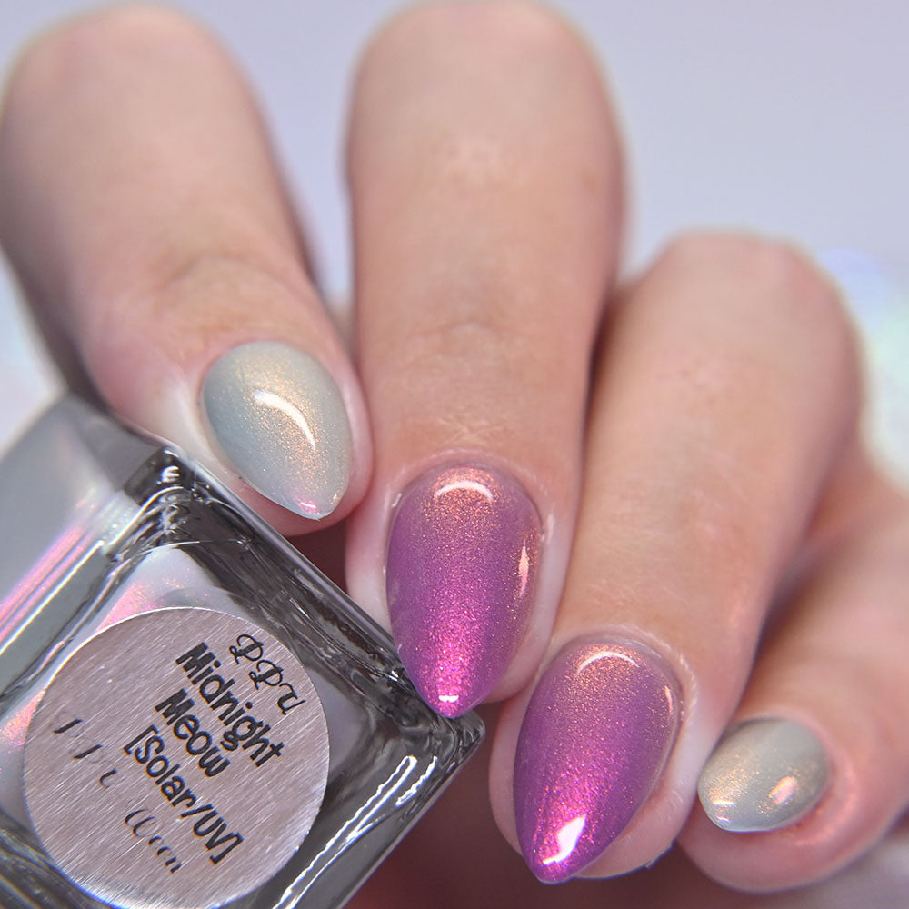 Nailed It | Midnight Meow