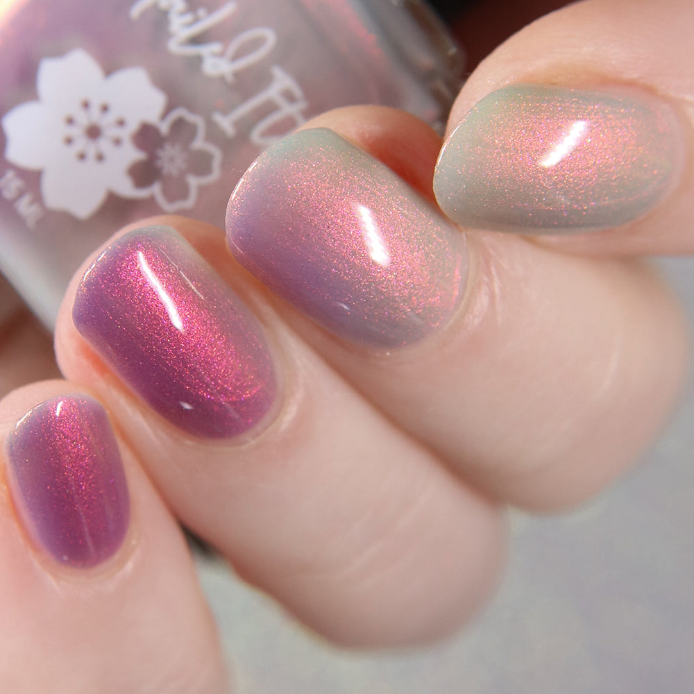 Nailed It | Midnight Meow