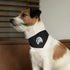 Pet Bandana Collar - Thriller Design