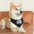 Pet Bandana Collar - Thriller Design